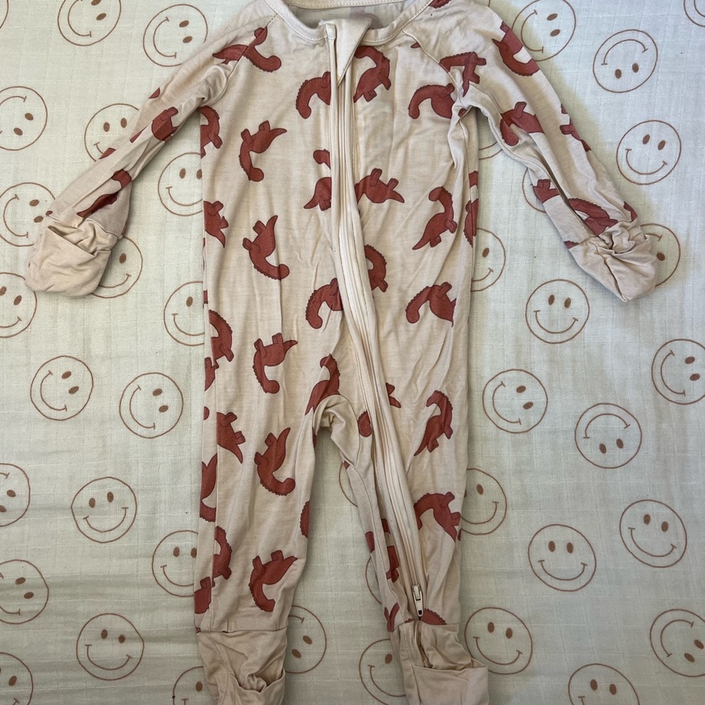 Dinosaurs footies